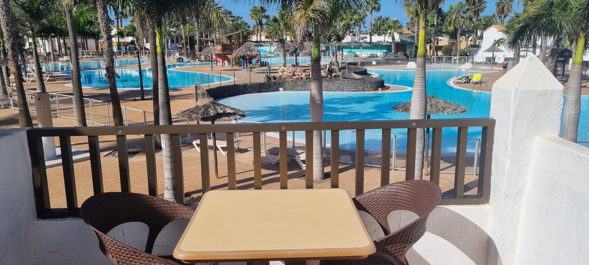 With Terrace & Palm Trees 25mb Wifi Apartment